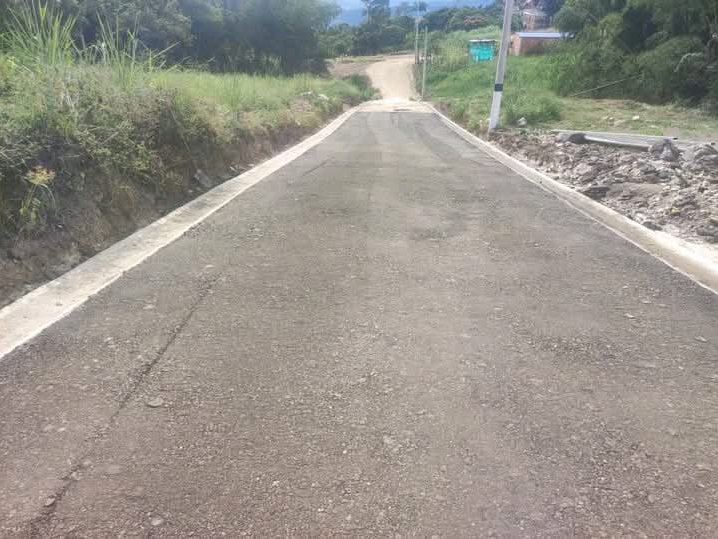 Vía pavimentada con sardinel de concreto